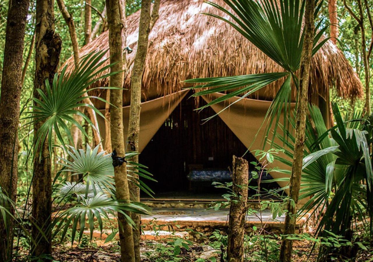 Akumal Natura Glamping 외부 사진