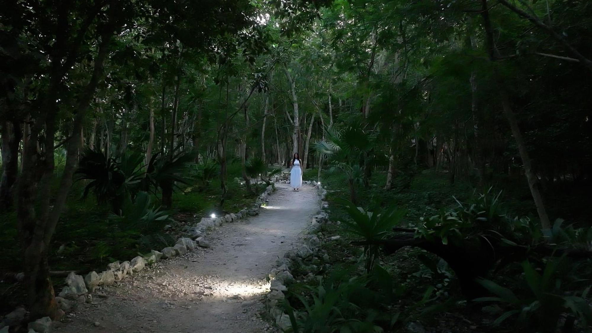 Akumal Natura Glamping 외부 사진