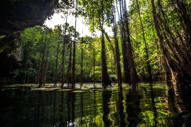 Akumal Natura Glamping 외부 사진